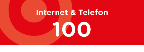 Internet + Telefon 100