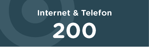 Internet + Telefon 300