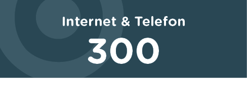 Internet + Telefon 300