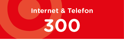 Internet + Telefon 200