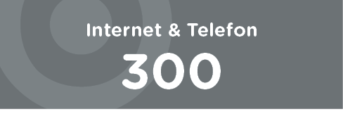 Internet + Telefon 1000
